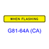 WHEN FLASHING G81-64A (CA)