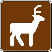 Deer Viewing Area RS-011
