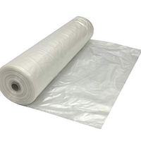 10MIL VISQUEEN 20' X 100' CLR