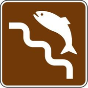 Fish Ladder RS-089