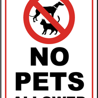 NO PETS