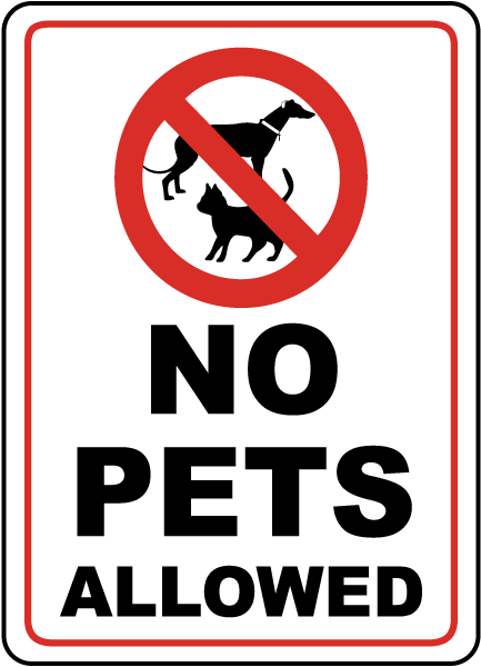 NO PETS