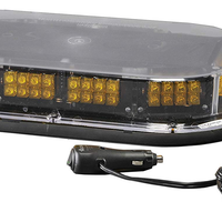 12/24V CLR/AMB LED'S 17.25". M